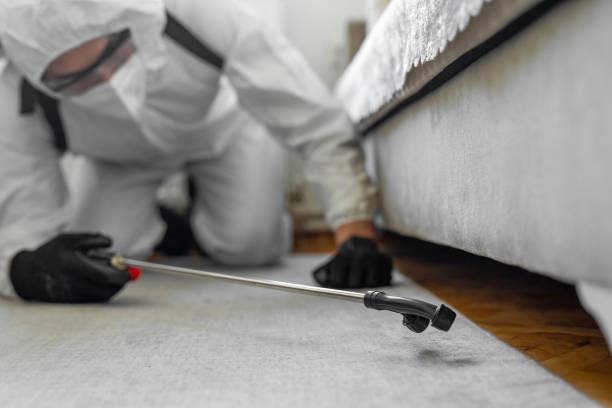 Professional Cockroach Control technician working in Albion, PA