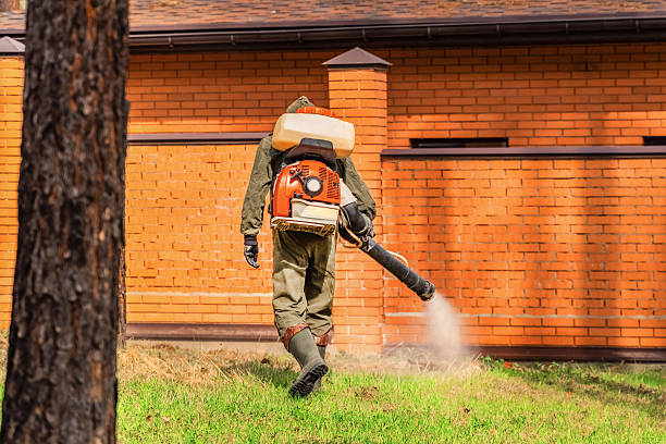 Trusted Termite Control service in Albion, PA - Nex Pest Control